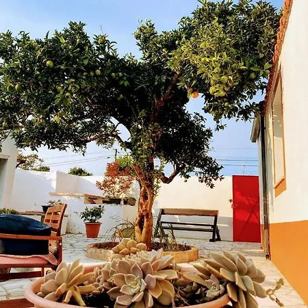 Semesterbostad Moita Moita (Leiria)
