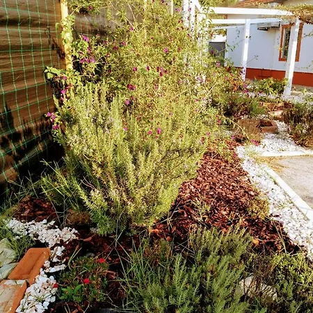 Moita Holiday home *