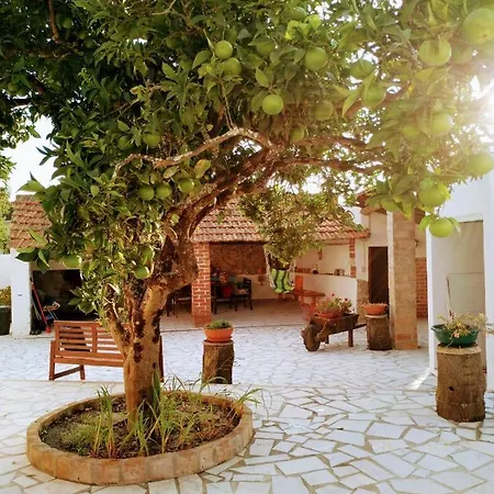 Moita Holiday home Moita (Leiria)