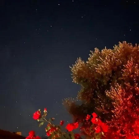 Holiday home Moita Moita (Leiria)